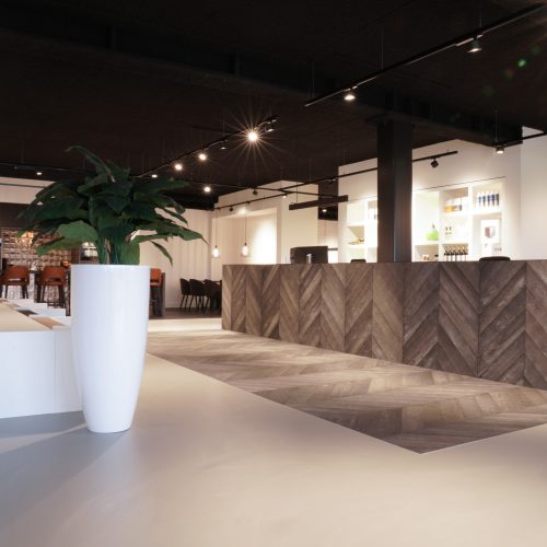 Zilva-Zakelijk-Project-Europaparket